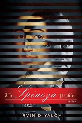 The Spinoza Problem Paperback Basic Books