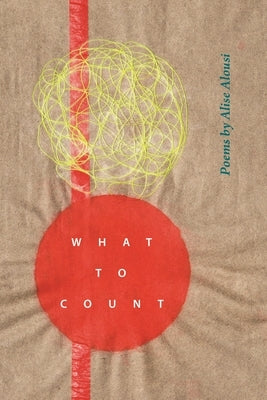 What to Count Paperback Wayne State University Press