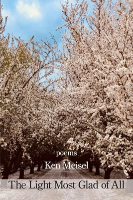 The Light Most Glad of All Paperback Kelsay Books