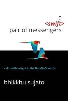 A Swift Pair of Messengers Paperback Santipada