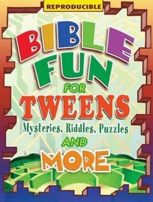 Bible Fun for Tweens: Mysteries, Riddles, Puzzles, and More Paperback Abingdon Press