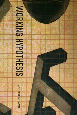 Working Hypothesis Paperback Finishing Line Press
