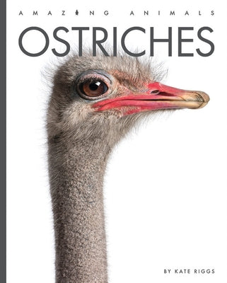 Ostriches Paperback Creative Paperbacks