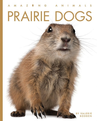 Prairie Dogs Paperback Creative Paperbacks