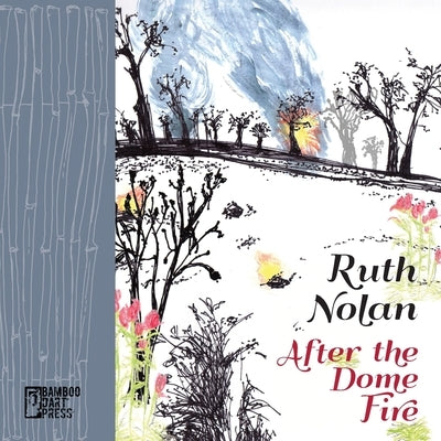 After the Dome Fire Paperback Bamboo Dart Press