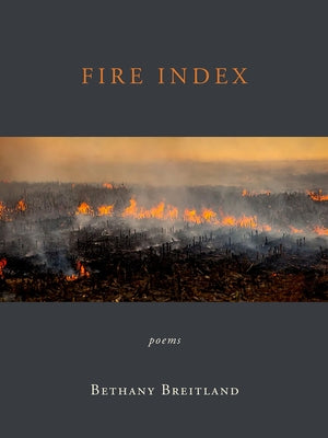 Fire Index: Poems Paperback Green Writers Press