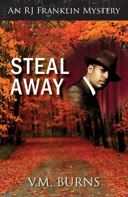 Steal Away Paperback Camel Press
