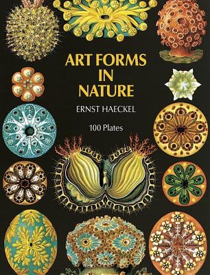 Art Forms in Nature Paperback Dover Publications
