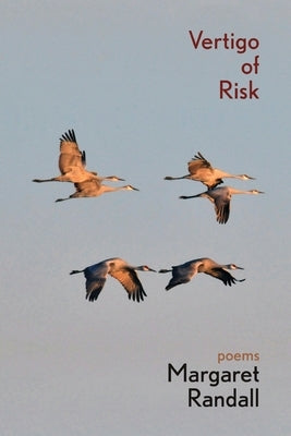 Vertigo of Risk Paperback Casa Urraca Press
