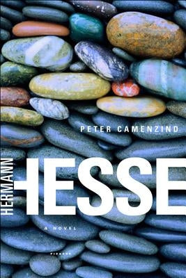 Peter Camenzind Paperback Picador USA
