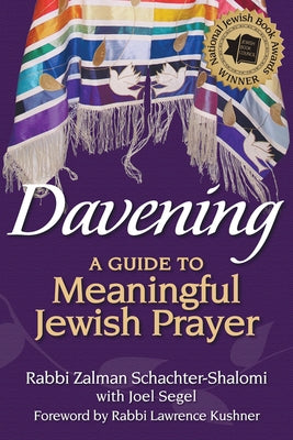 Davening: A Guide to Meaningful Jewish Prayer Paperback Jewish Lights Publishing