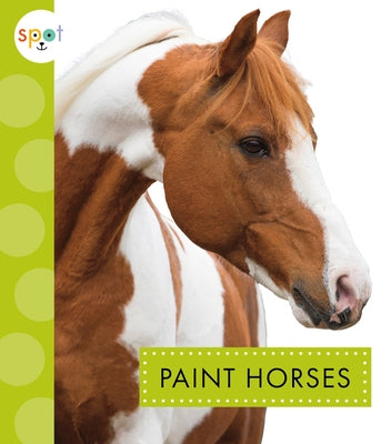 Paint Horses Paperback Amicus Ink