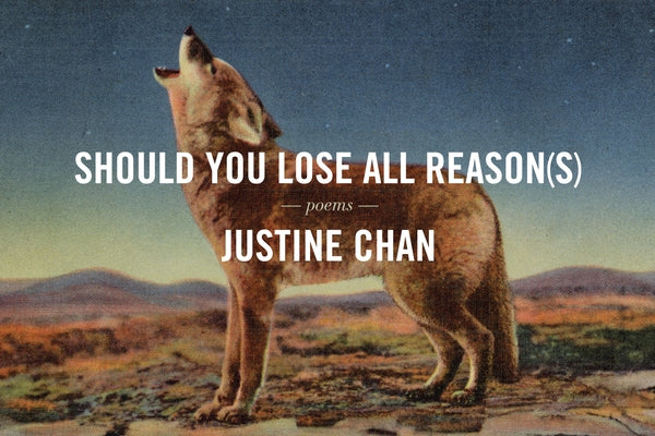 Should You Lose All Reason(s) Paperback Chin Music