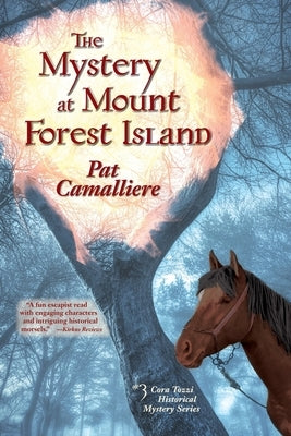 The Mystery at Mount Forest Island Paperback Amika Press