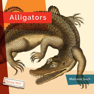 Alligators Paperback Creative Paperbacks