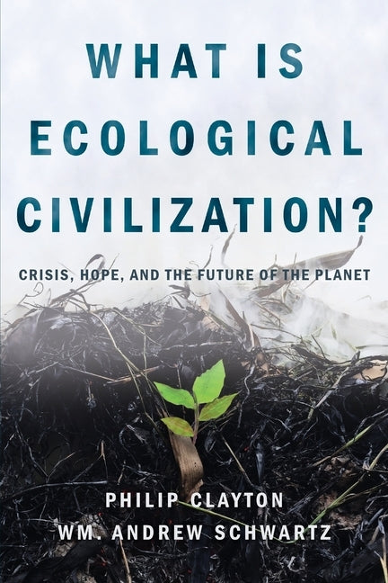 What Is Ecological Civilization: Crisis, Hope, and the Future of the Planet Paperback Process Century Press