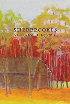 Sherbrookes Paperback Dalkey Archive Press