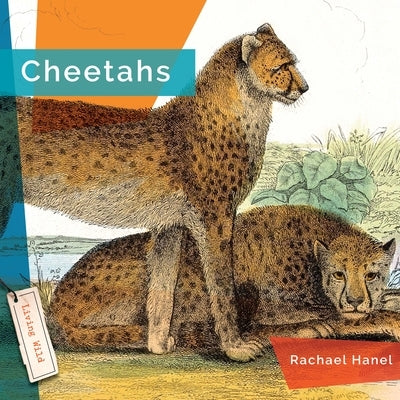 Cheetahs Paperback Creative Paperbacks
