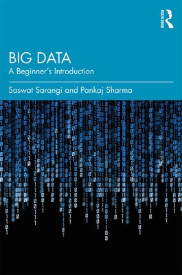Big Data: A Beginner's Introduction Paperback Routledge Chapman & Hall