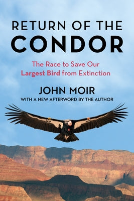 Return of the Condor: The Race to Save Our Largest Bird from Extinction Paperback Lyons Press