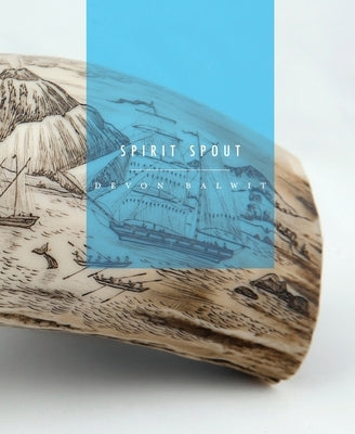 Spirit Spout Paperback Nixes Mate Books