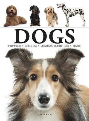 Dogs Paperback Amber Books