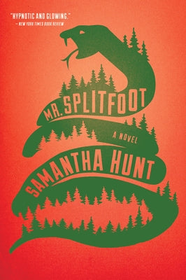 Mr. Splitfoot Mariner Books