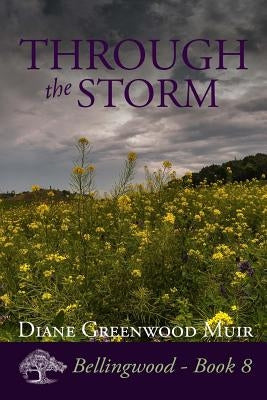 Through the Storm Paperback Createspace Independent Publishing Platform