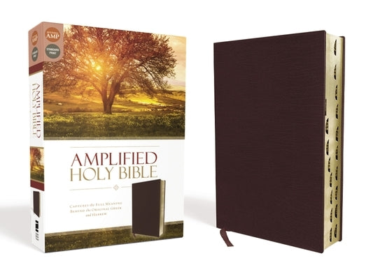 Amplified-Am: Captures the Full Meaning Behind the Original Greek and Hebrew Bible Zondervan