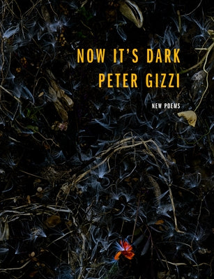 Now It's Dark Paperback Wesleyan University Press