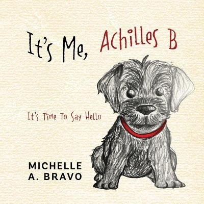 It's Me, Achilles B: It's Time To Say Hello Paperback Outskirts Press