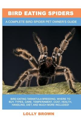 Bird Eating Spiders: Bird Eating Tarantula breeding, where to buy, types, care, temperament, cost, health, handling, diet, and much more in Paperback Pack & Post Plus, LLC