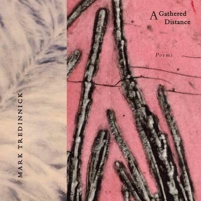 A Gathered Distance: Poems Paperback Birdfish Books