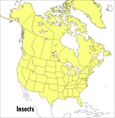 A Peterson Field Guide to Insects: America North of Mexico Paperback Mariner Books