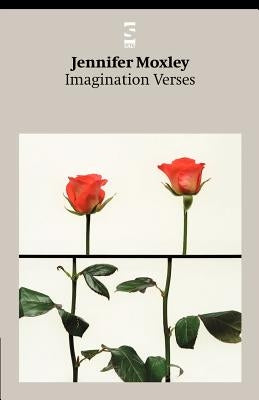 Imagination Verses Paperback Salt Publishing