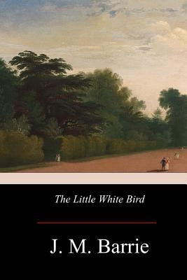 The Little White Bird Paperback Createspace Independent Publishing Platform