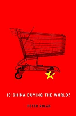 Is China Buying the World? Paperback Polity Press