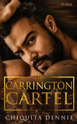 Torn: A Forbidden Age Gap Dark Mafia Romance Paperback 304 Publishing Company