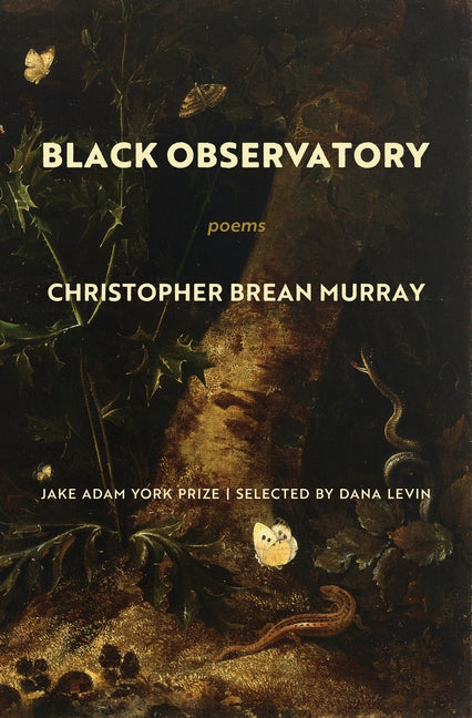 Black Observatory: Poems Paperback Milkweed Editions