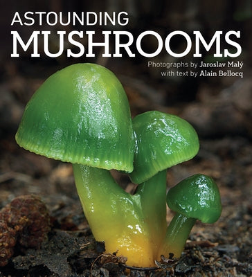 Astounding Mushrooms Paperback Firefly Books