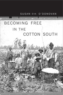 Becoming Free in the Cotton South Paperback Harvard University Press