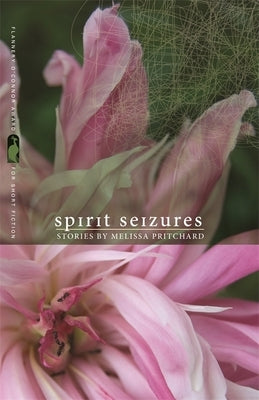 Spirit Seizures: Stories Paperback University of Georgia Press