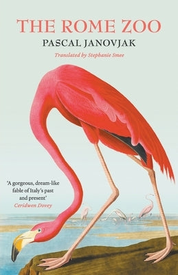 The Rome Zoo Paperback Black Inc.