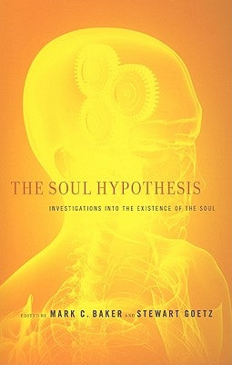 The Soul Hypothesis: Investigations into the Existence of the Soul Paperback Continnuum-3PL