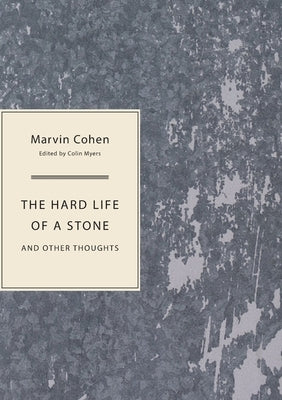 The Hard Life of a Stone Paperback Sagging Meniscus Press