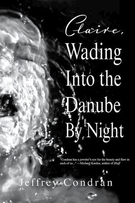 Claire, Wading Into the Danube by Night Paperback Southeast Missouri State Univ Press