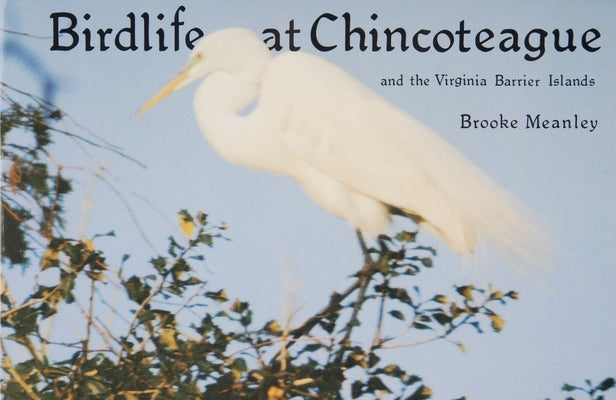 Birdlife at Chincoteague and the Virginia Barrier Islands Paperback Schiffer Publishing