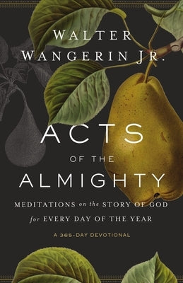 Acts of the Almighty: Meditations on the Story of God for Every Day of the Year Paperback Zondervan