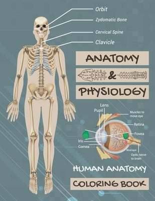 Anatomy & Physiology: Human Anatomy Coloring Book: Human Body Coloring Book, The Anatomy Of Coloring Book. Paperback Independently Published