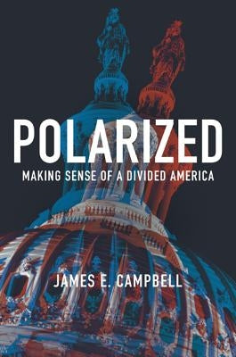 Polarized: Making Sense of a Divided America Paperback Princeton University Press